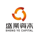 SY Holdings Group Limited Logo