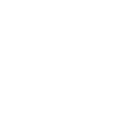 Apple Inc. Logo