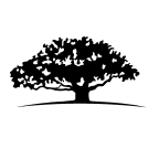 WisdomTree Yield Enhanced U.S. A Logo