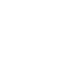 American International Group, Inc. Logo