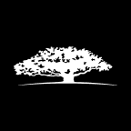 WisdomTree International Al Enha Logo