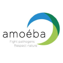 Amoéba S.A. Logo