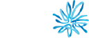 AMP Limited Logo