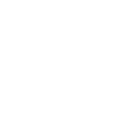 Appian Corporation Logo