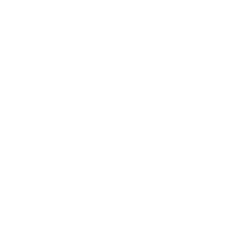 Axon Enterprise, Inc. Logo