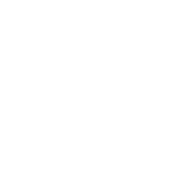 The Boeing Company Logo