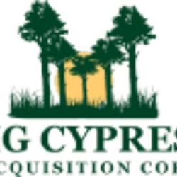 Big Cypress Acquisition Corp. Logo