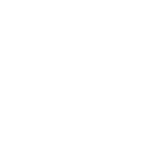 BioVie Inc. Logo