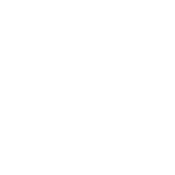 Bridgeline Digital, Inc. Logo