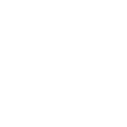 Borqs Technologies, Inc. Logo