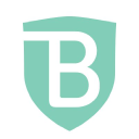 BrandShield Systems Plc Logo