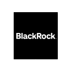 BlackRock Science and Technology Trust II Logo