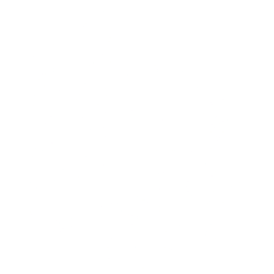 Bit Brother Limited Logo