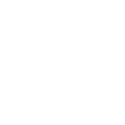 Valkyrie Bitcoin Strategy ETF Logo