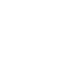 Cenntro Electric Group Limited Logo