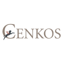 Cenkos Securities plc Logo