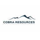 Cobra Resources plc Logo