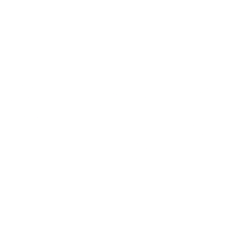 Torrid Holdings Inc. Logo