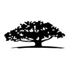 WisdomTree Emerging Markets Qual Logo