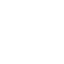 DIRTT Environmental Solutions Ltd. Logo