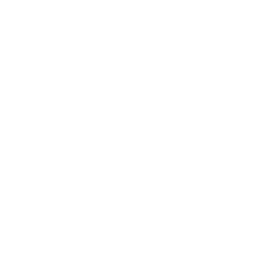 Ebix, Inc. Logo