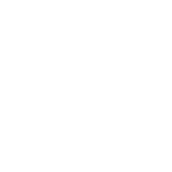 FGI Industries Ltd. Logo