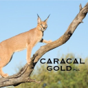 Caracal Gold plc Logo