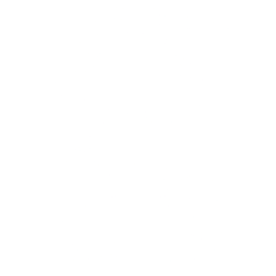 Getty Images Holdings, Inc. Logo