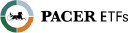 Pacer Developed Markets Internat Logo