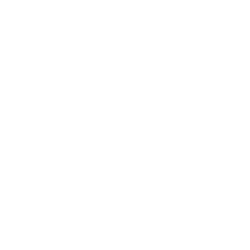 Nordstrom, Inc. Logo