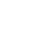 Lucid Group, Inc. Logo