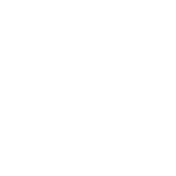 The Lion Electric Company Logo