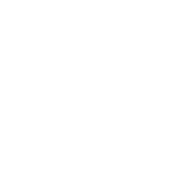 Lionsgate Studios Corp. Logo