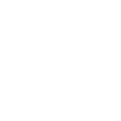 Main Street Capital Corporation Logo