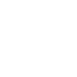 Natuzzi S.p.A. Logo