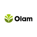 Olam International Limited Logo