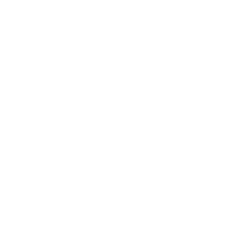 Quanergy Systems, Inc. Logo