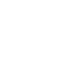 Reliance Global Group, Inc. Logo