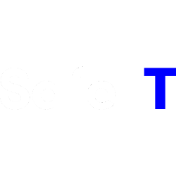 Safe-T Group Ltd. Logo