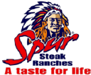 Spur Corporation Ltd Logo