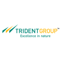 Trident Limited Logo