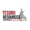 Tesoro Gold Ltd Logo