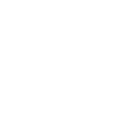 Visa Inc. Logo