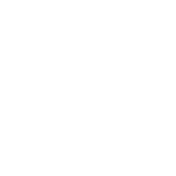 Venus Concept Inc. Logo