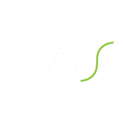 ZyVersa Therapeutics, Inc. Logo